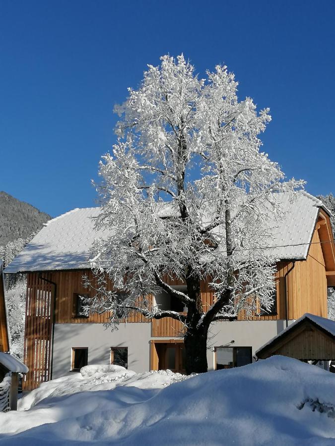 Apartments Gorski Raj Kranjska Gora Extérieur photo